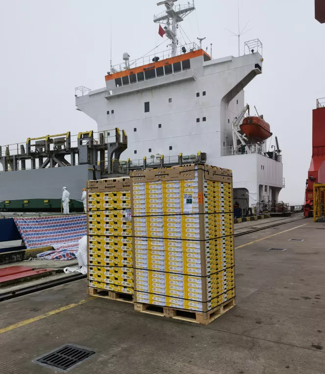 1619424665176459.png 1619424665176459.png