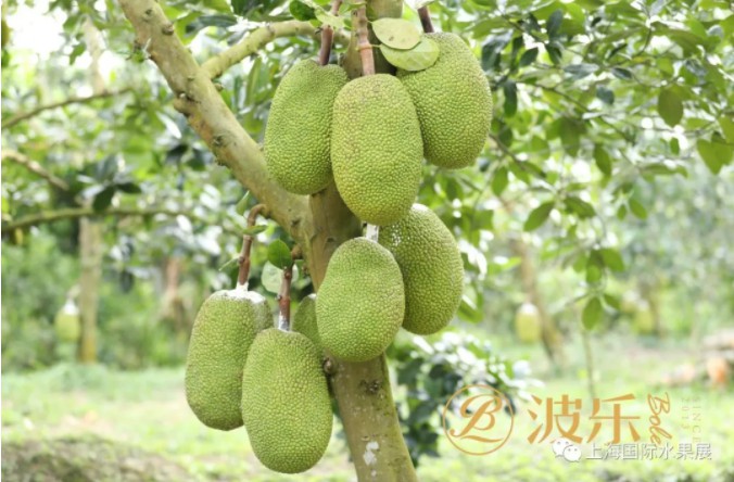 1615753397471111.jpg 1.jpg