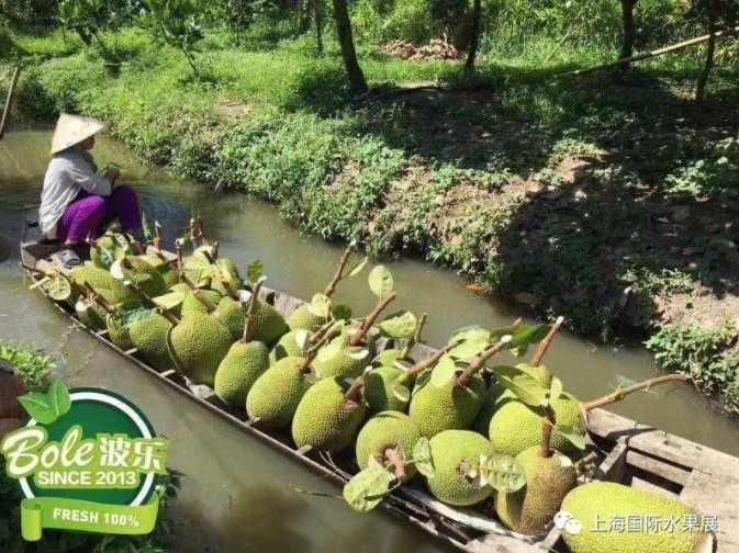 1615753410356346.jpg 2.jpg