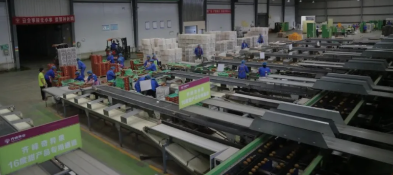 1620383578130312.png 1620383578130312.png