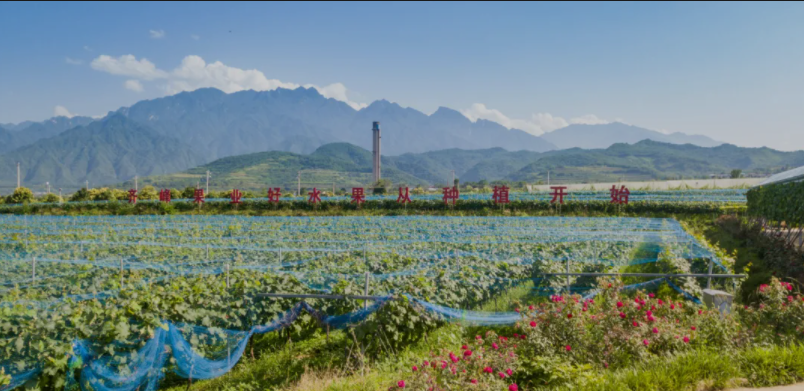 1620383657901203.png 1620383657901203.png