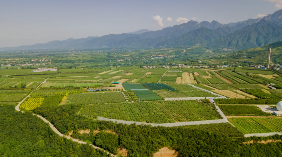 1620387736700097.png 1620387736700097.png