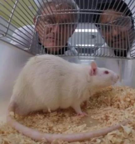 1621237562898263.jpg 1621237562898263.jpg