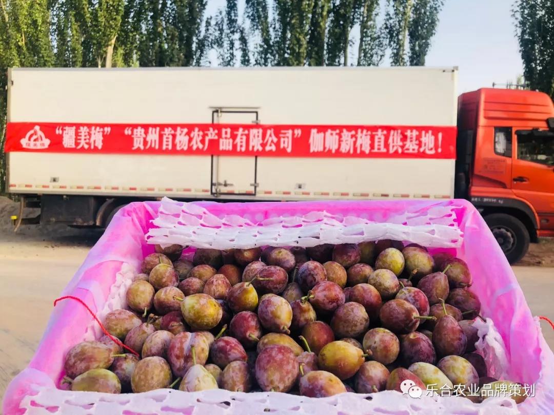 1621584836497051.jpg 1621584836497051.jpg