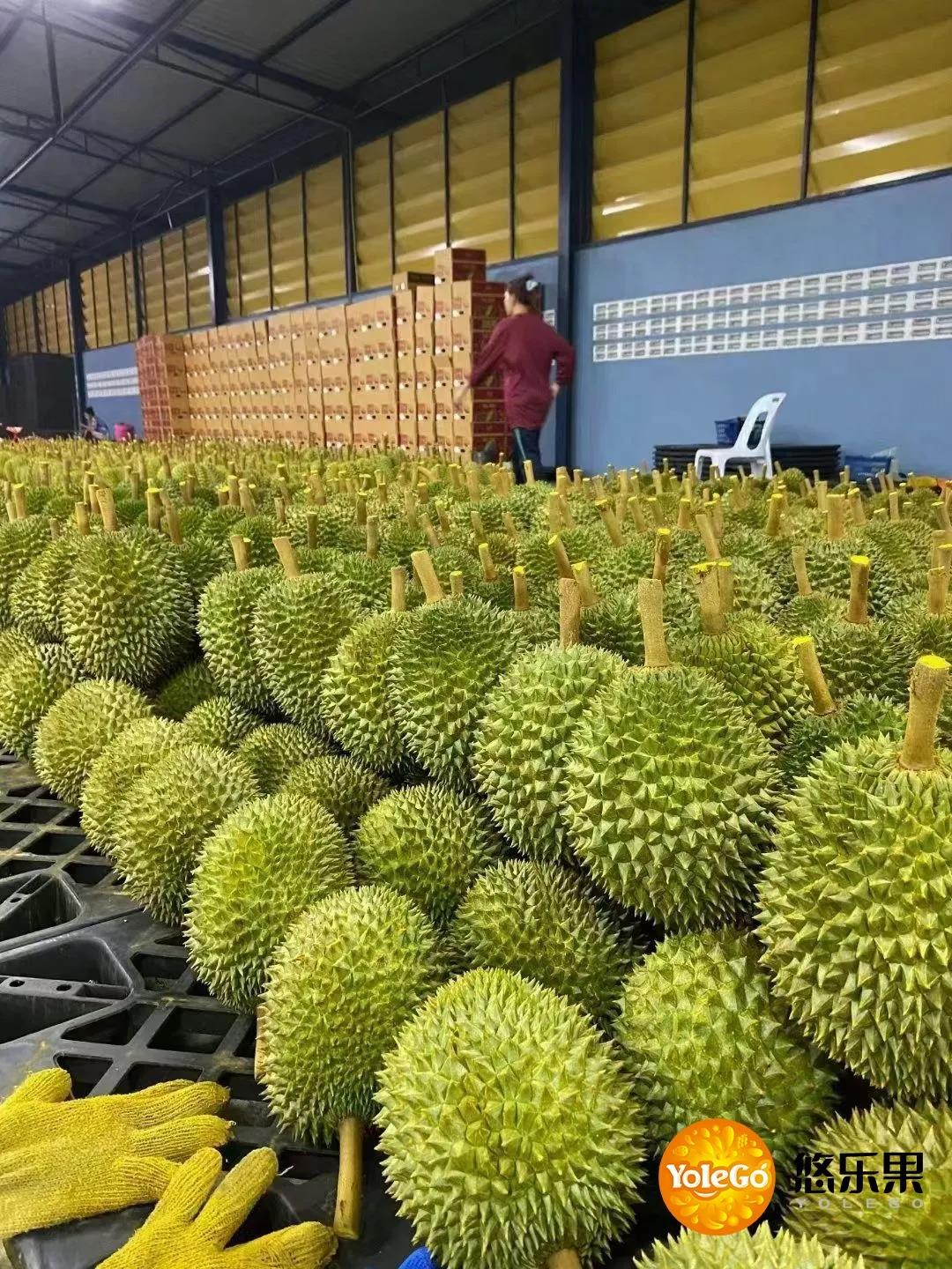 1622788483593319.jpg 1622788483593319.jpg