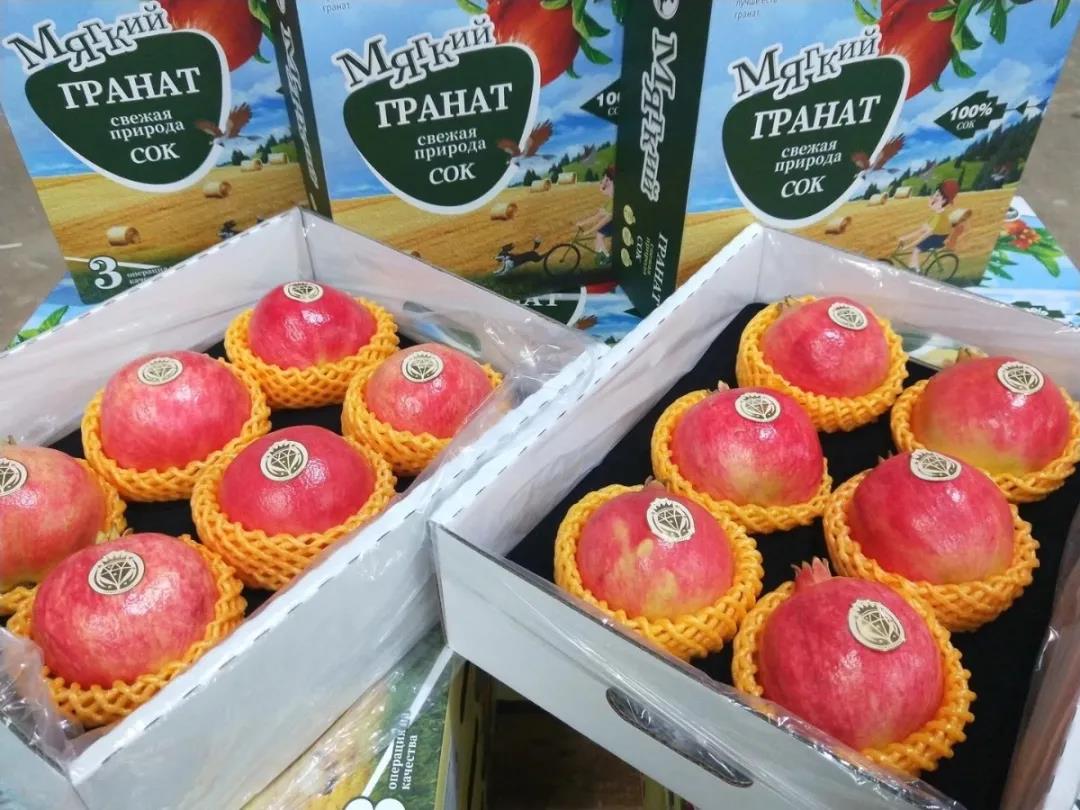 1623832724406081.jpg 1623832724406081.jpg