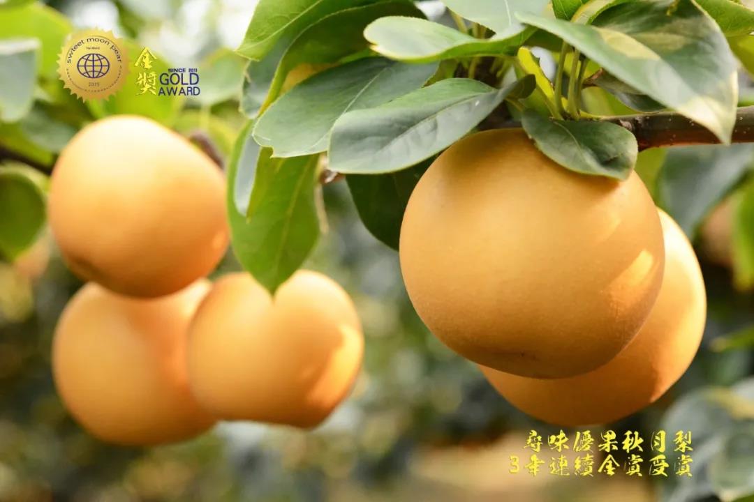 1623833181482033.jpg 1623833181482033.jpg