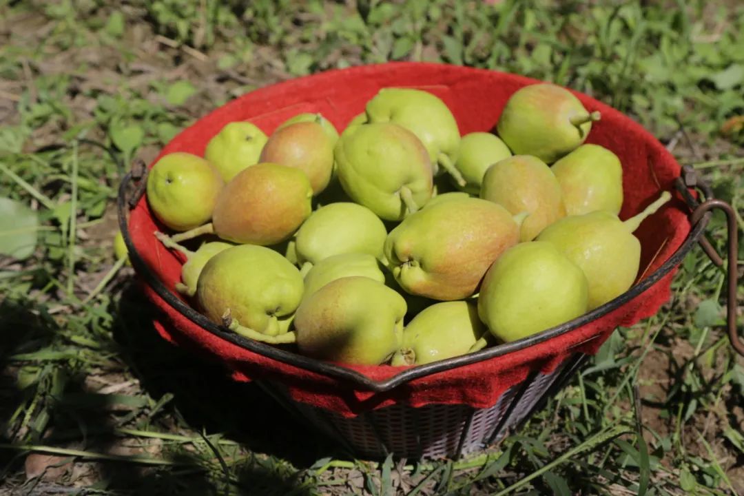 1624181846679349.jpg 1.jpg