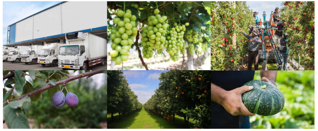 1624247264153033.png ia_100000567.png