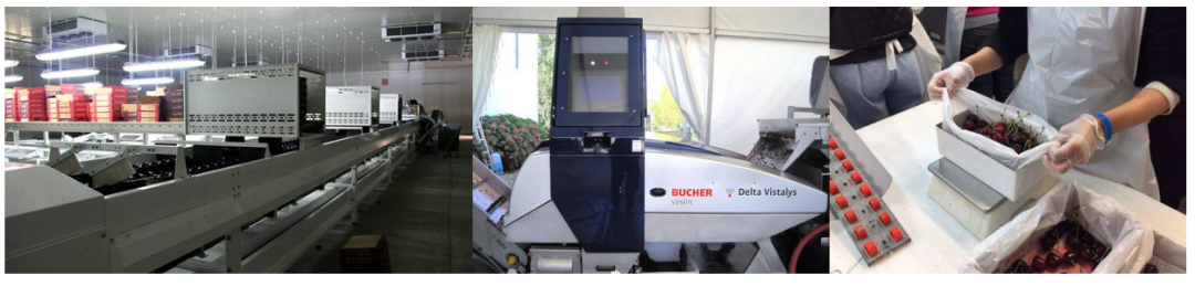 1624247281926766.png ia_100000000278.png