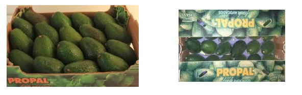 1624251163351287.png 微信图片_20210621125227.png