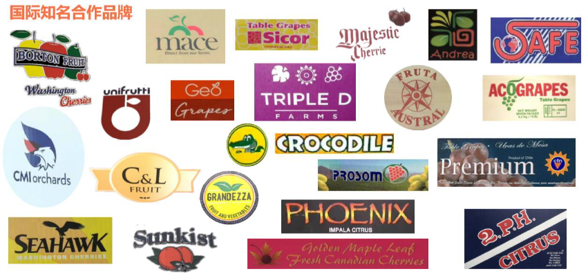 1624251282350115.png ia_300000671.png