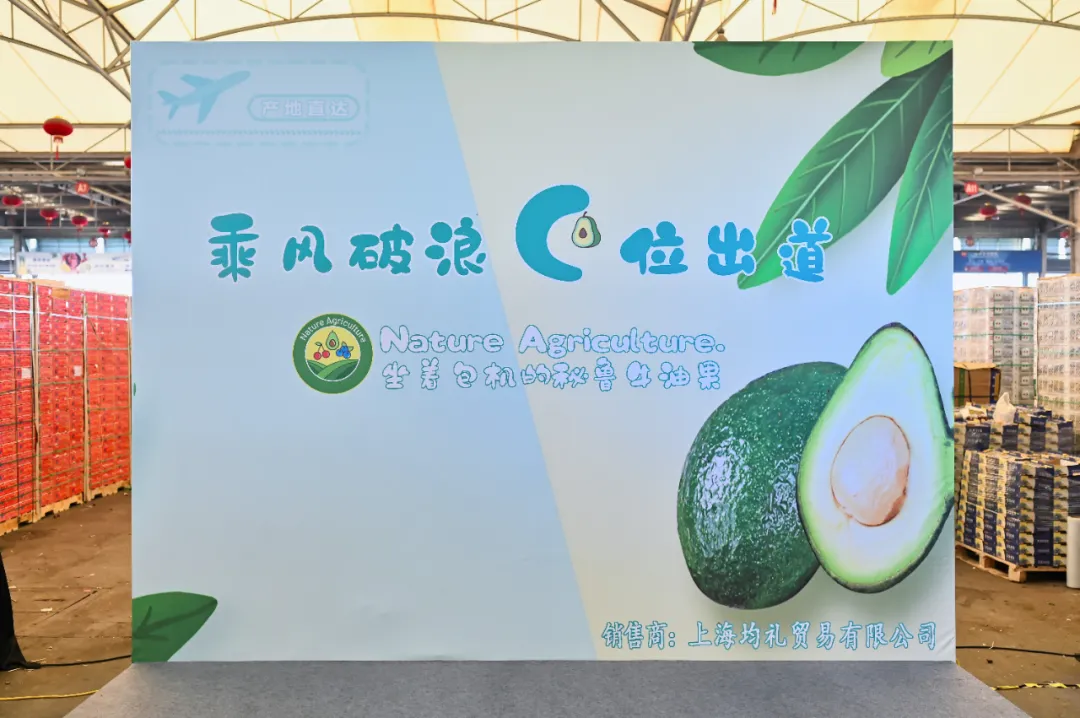 1624252277681086.png ia_500000001_结果.png