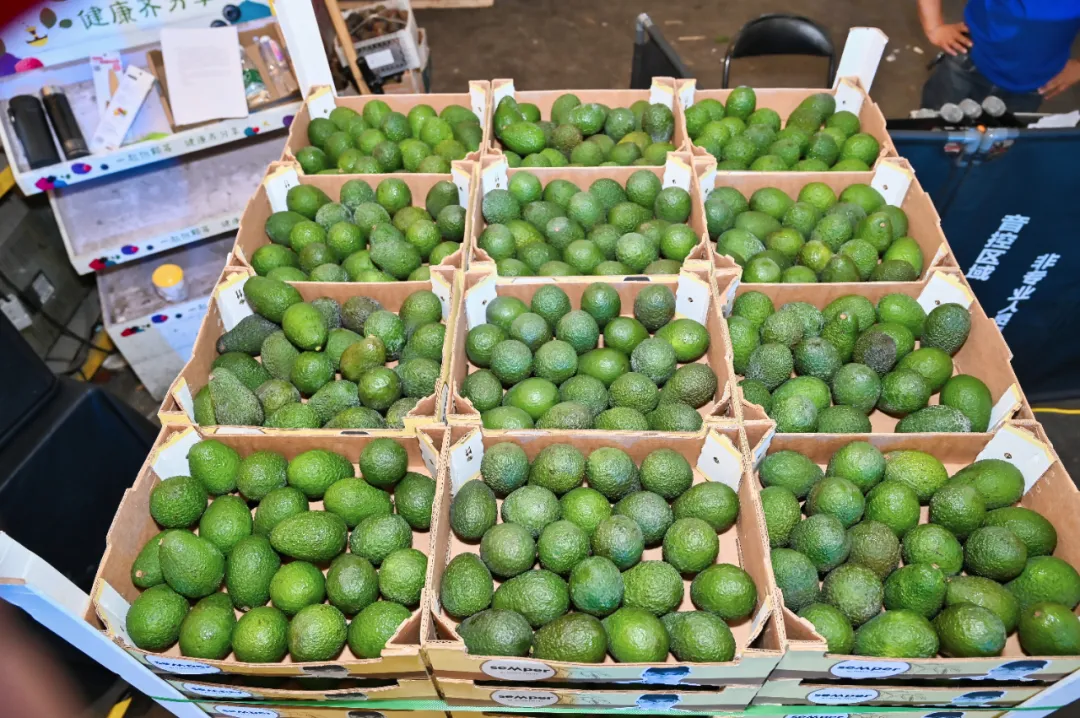 1624252346409637.png ia_500000008_结果.png