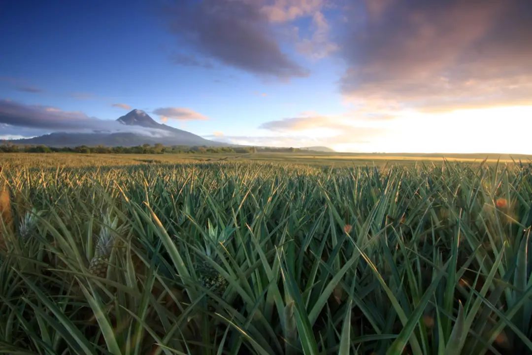 1624254868693574.jpg ia_1000000966.jpg