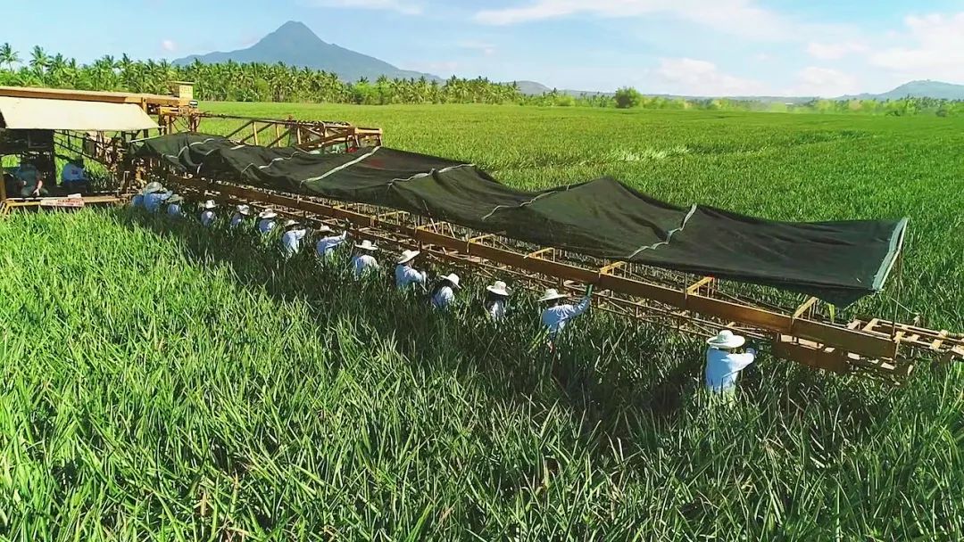 1624255010454612.jpg ia_1000000982.jpg