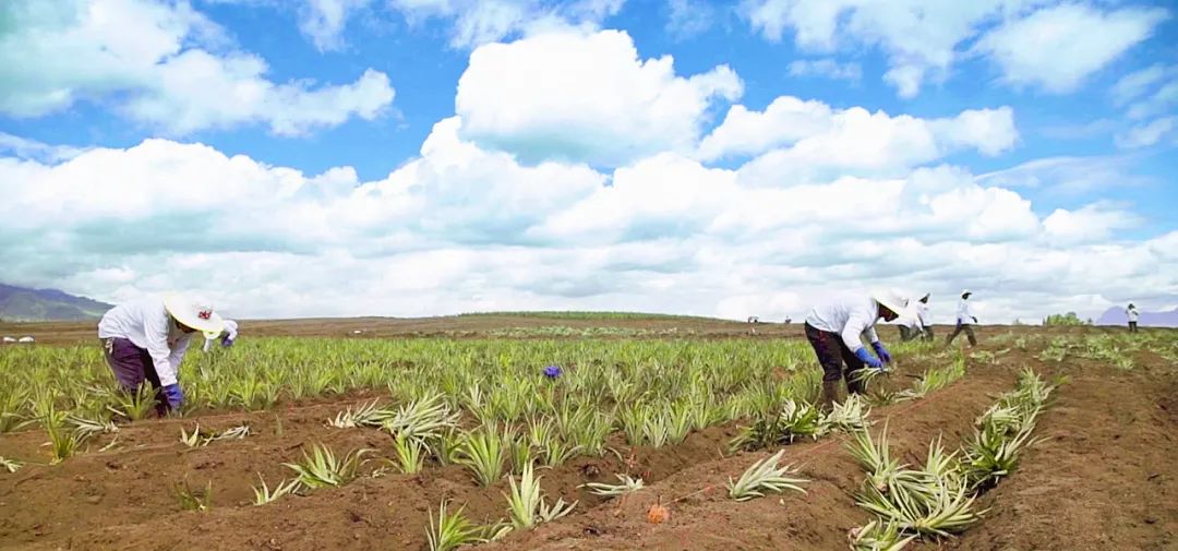 1624255039422698.jpg ia_1000000970.jpg