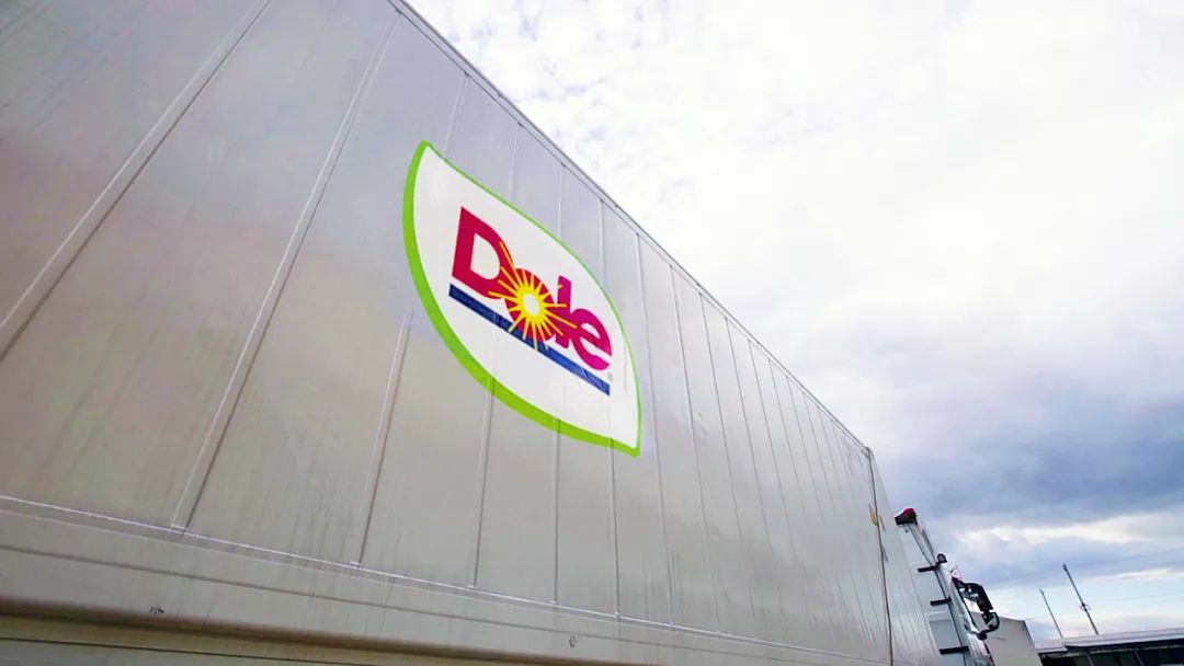 1624255055240955.jpg ia_1000000971.jpg