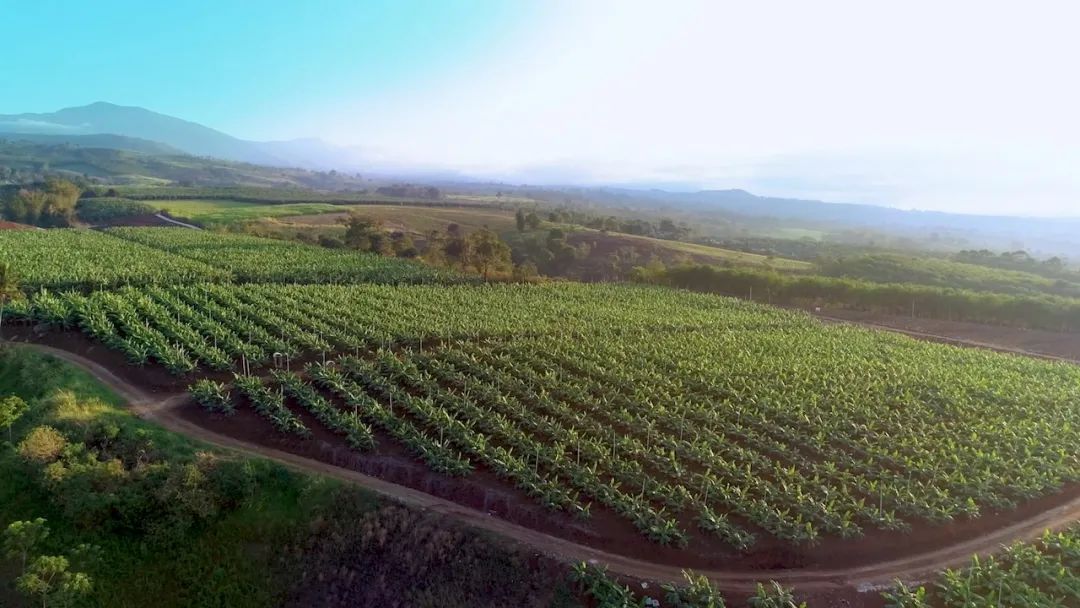 1624255261351575.jpg ia_1000000978.jpg