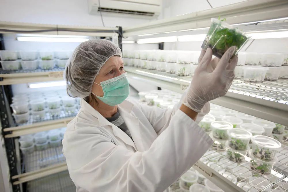 1624255275794905.jpg ia_1000000977.jpg