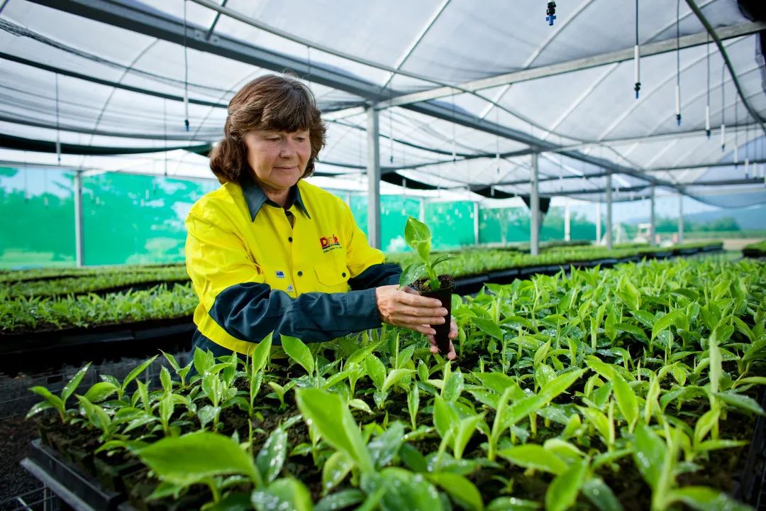 1624255290326206.jpg ia_1000000973.jpg