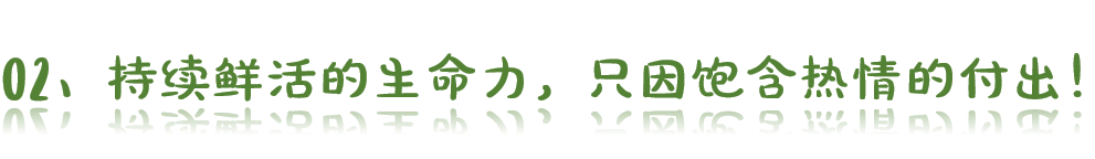 1624258868706425.png ia_1700000008.png