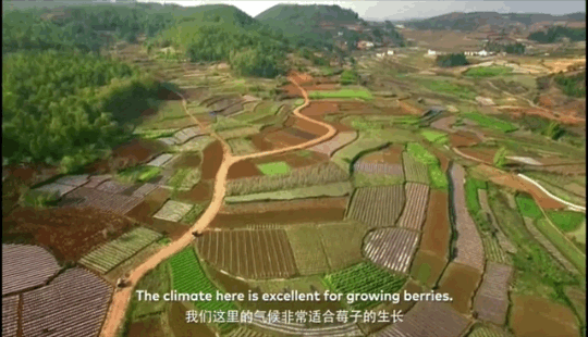 1624258914166873.png ia_1700000009_结果.png