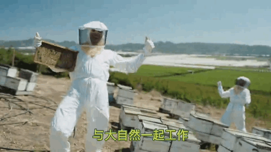 1624258973704369.png ia_1700000012_结果.png