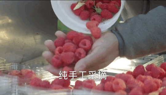 1624259289326422.png ia_1700000915_结果.png