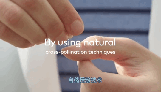 1624259532992979.png ia_1700000913_结果.png