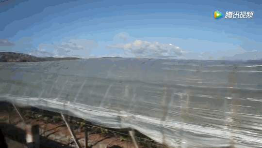 1624259624656363.png ia_1700000019_结果.png