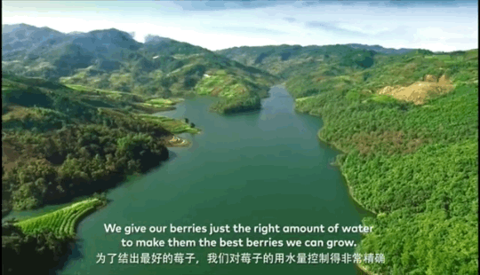 1624259648794807.png ia_1700000020_结果.png