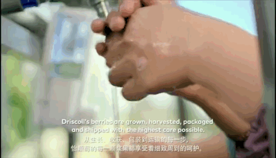 1624259859457653.png ia_1700000027_结果.png