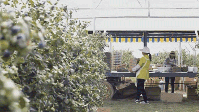 1624259914377604.png ia_1700000029_结果.png