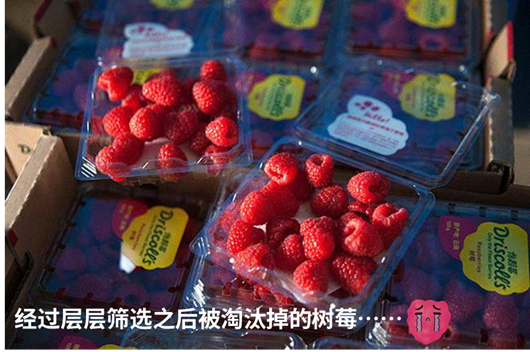 1624259937383681.png ia_1700000030.png