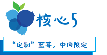 1624260228386951.png ia_1700000032.png