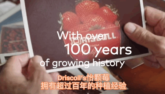 1624260599864627.png ia_1700000042_结果.png