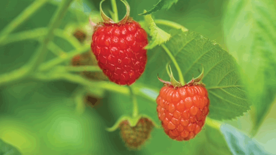 1624260963808901.png ia_1700000039_结果.png