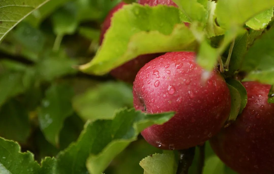 1624262170274619.jpg ia_1400000001.jpg