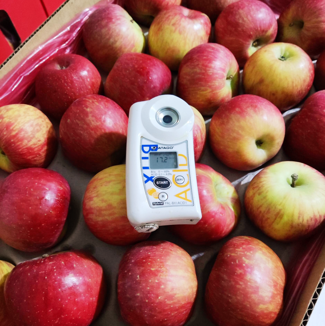 1624262206398808.png ia_1400000004.png