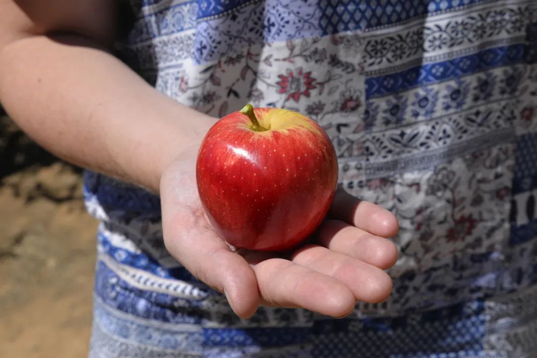 1624262231342712.jpg ia_1400000597.jpg