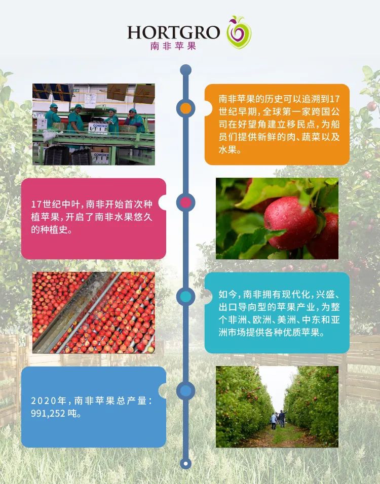 1624262247885337.jpg ia_1400000008.jpg