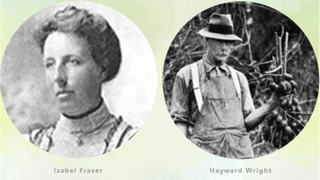 1624262688614427.png Snipaste_2021-06-21_16-06-03.png