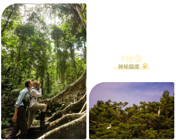 1624283708434968.png Snipaste_2021-06-21_21-51-34.png