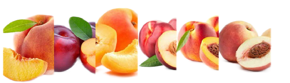 1624849484761313.png ia_3900000663.png