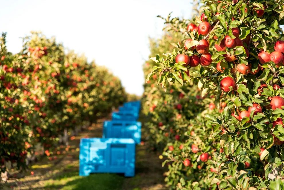 1625155396910537.jpg ia_800000001.jpg