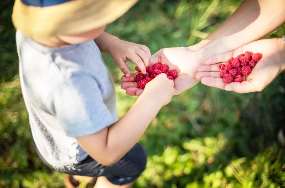 1625155443933754.jpg ia_800000006.jpg