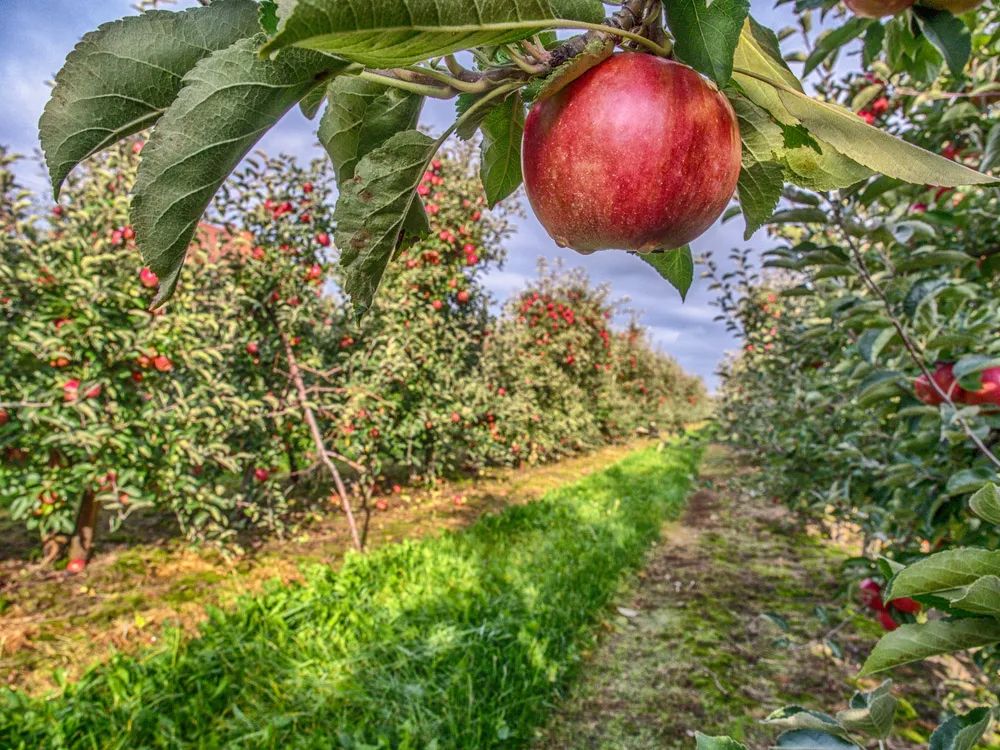 1625155483547546.jpg ia_800000009.jpg