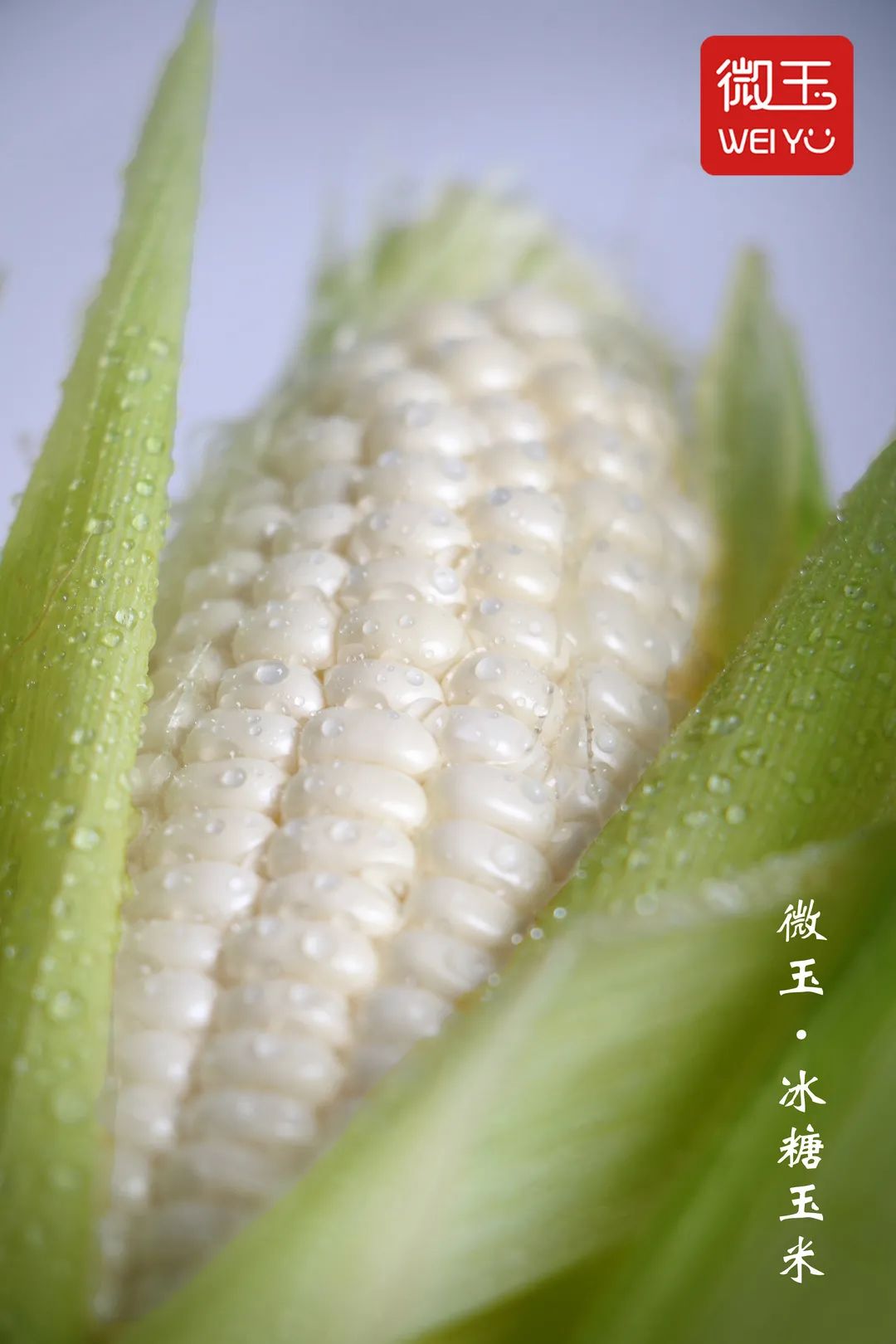 1626404464734595.jpg ia_100001017.jpg