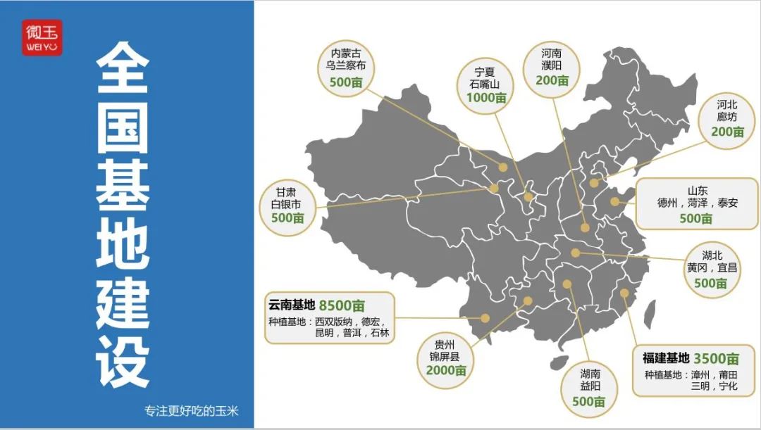 1626405445840509.jpg ia_100001018.jpg